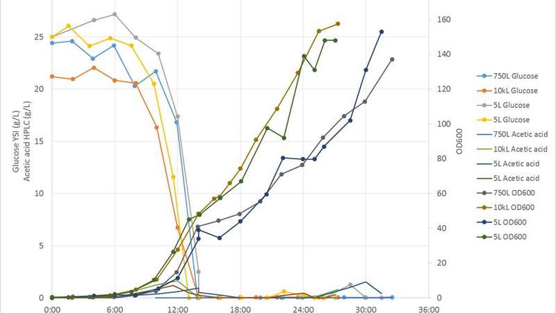 Scaling fermentation Graph Scaling fermentation Graph