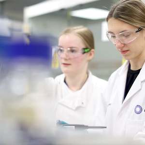 Picknet Choosing a Degree-Level Apprenticeship Over a University Degree | CPI