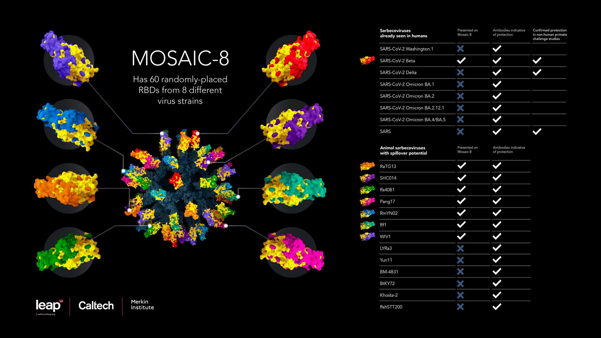 breakdown of CEPI's all-in-one nanoparticle ‘mosaic-8’ Coronavirus Vaccine breakdown of CEPI's all-in-one nanoparticle ‘mosaic-8’ Coronavirus Vaccine