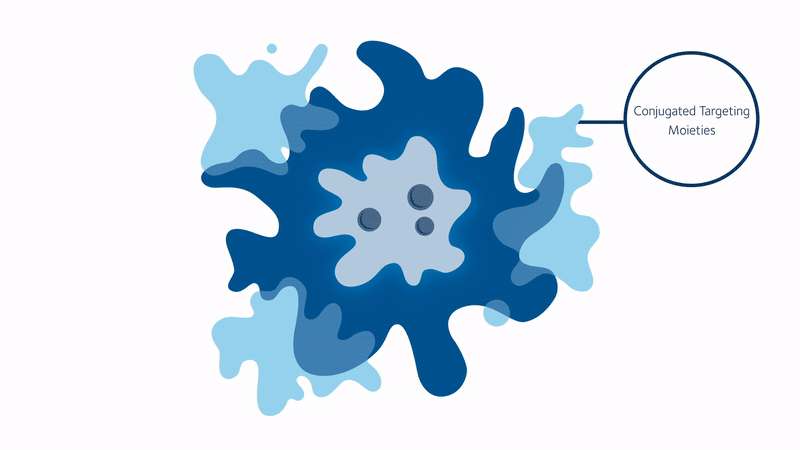 Conjugated polymer nanoparticles, magnetised with iron oxide, could be used to manipulate cells and target diseases Conjugated polymer nanoparticles, magnetised with iron oxide, could be used to manipulate cells and target diseases