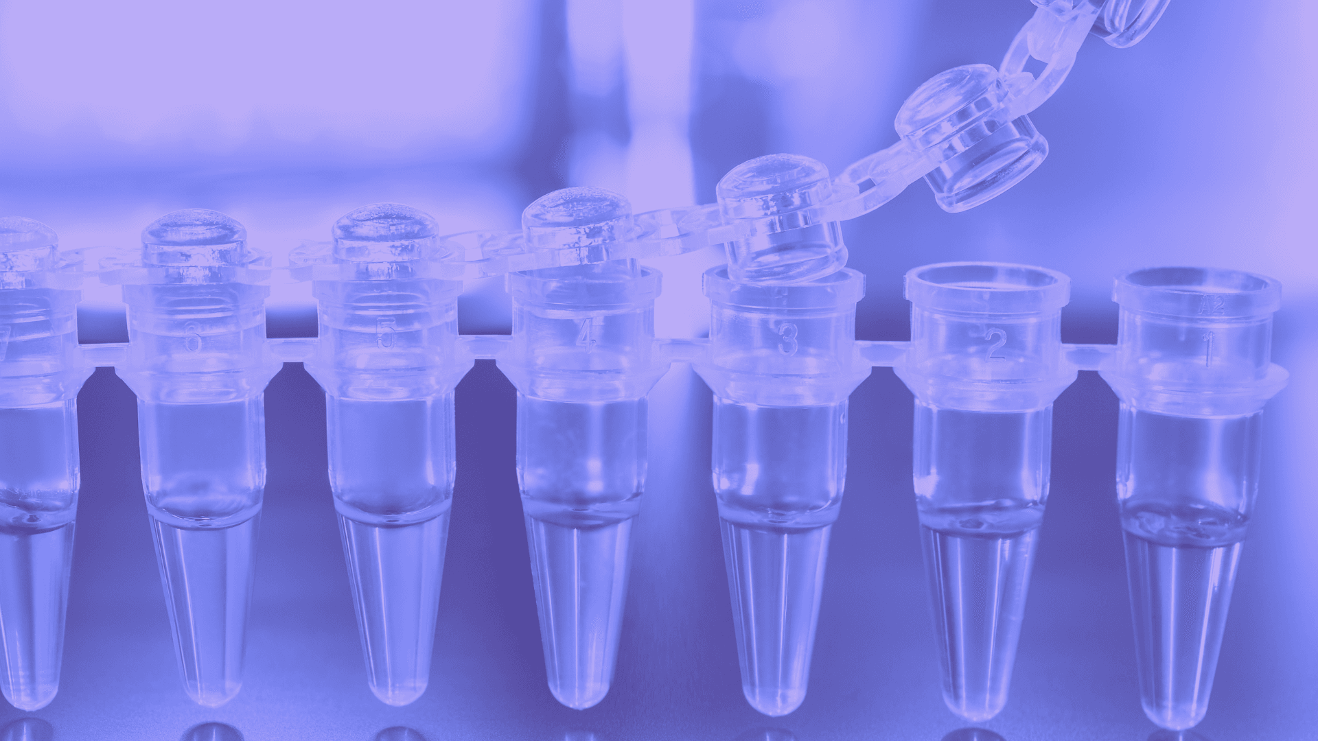 PharmaTech Integrates 2024