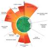 Planetary boundaries Planetary boundaries
