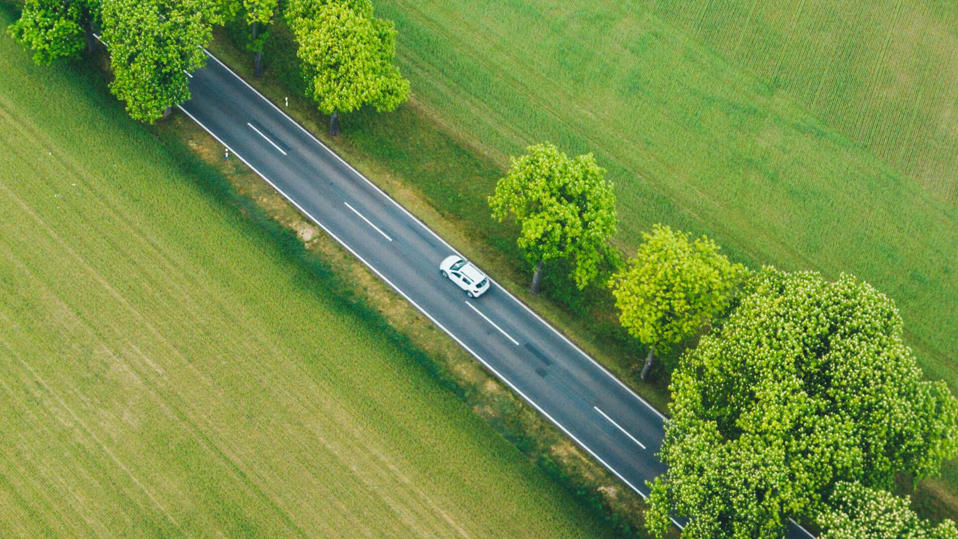 batteries-car batteries-car