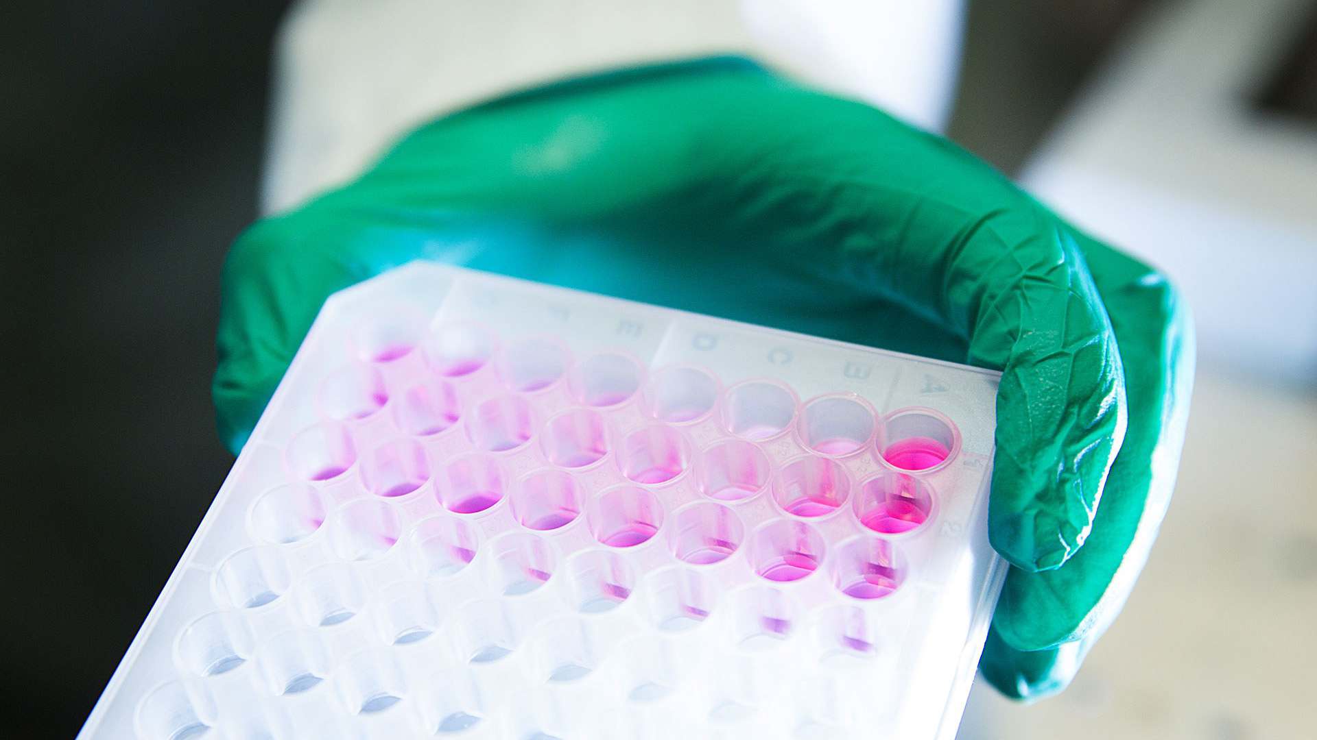 Bio-based products and processes already support pharmaceuticals and healthcare Bio-based products and processes already support pharmaceuticals and healthcare