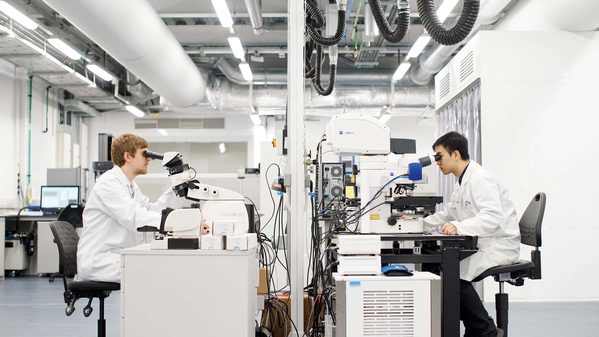 A photo of two scientists looking into microscopes in a formulation lab at CPI A photo of two scientists looking into microscopes in a formulation lab at CPI