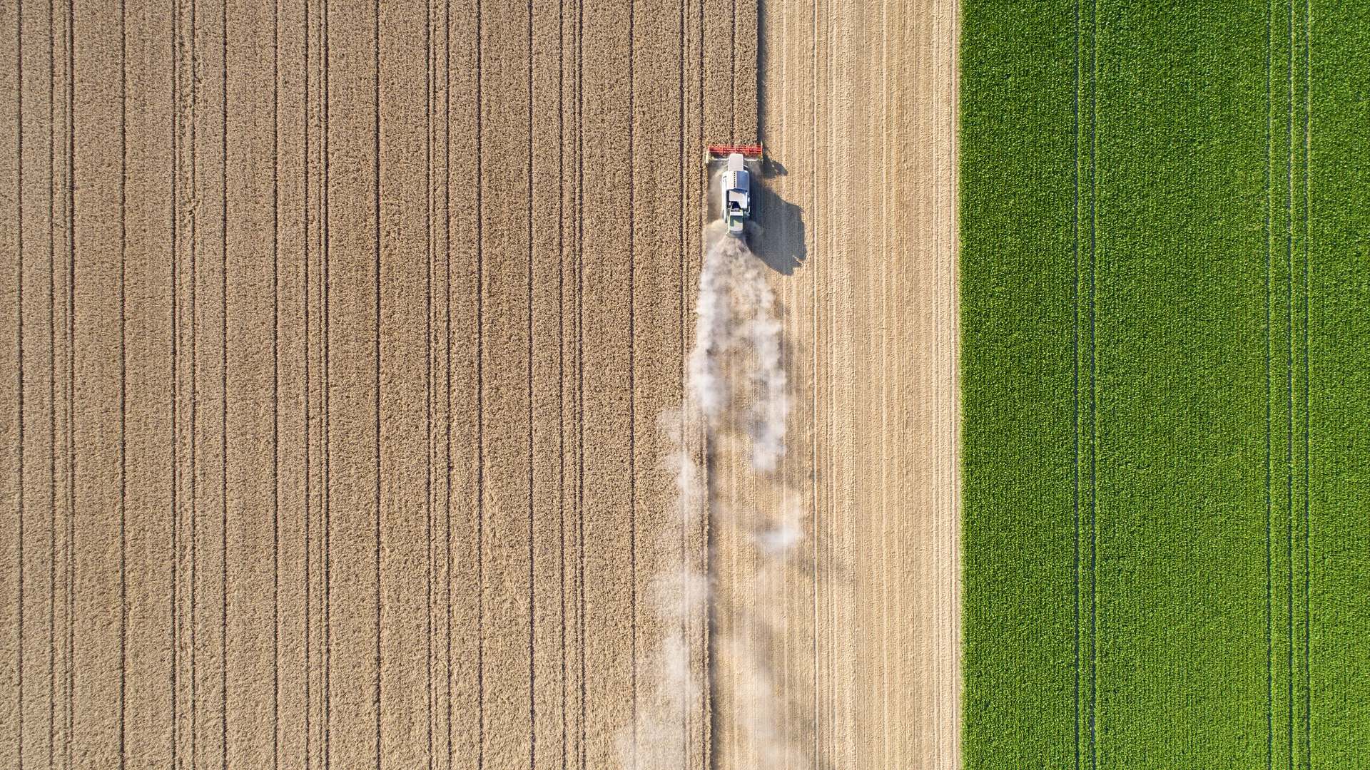 An aerial photo showing a tractor driving across a field of crops An aerial photo showing a tractor driving across a field of crops