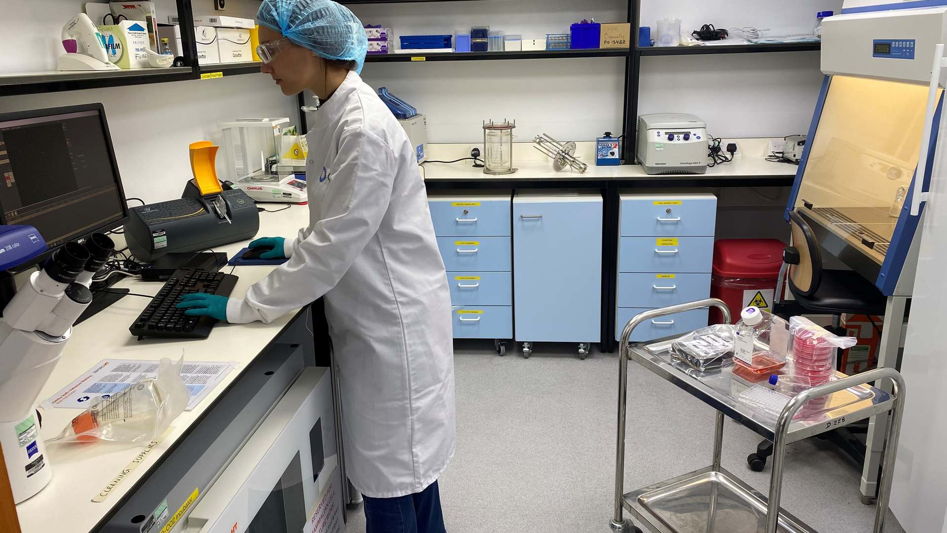 Cultivated meat lab Cultivated meat lab