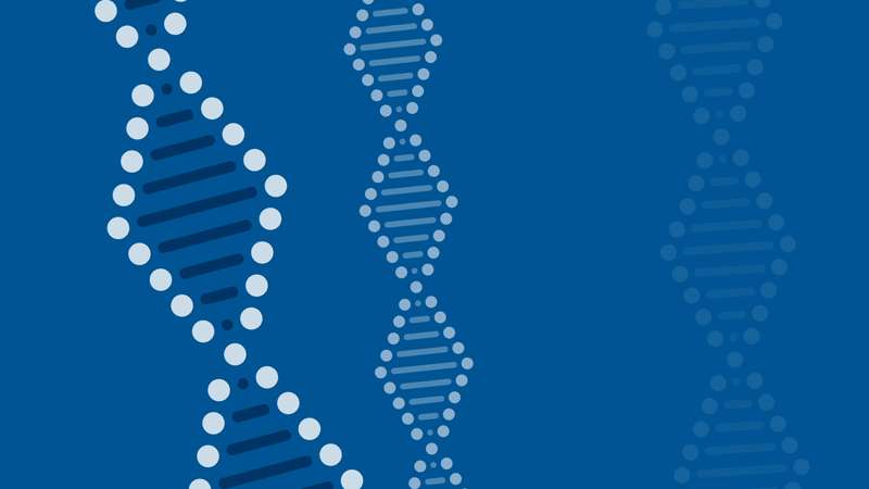 Doggybone DNA from Touchlight Genetics can speed up DNA production – for applications like new vaccines Doggybone DNA from Touchlight Genetics can speed up DNA production – for applications like new vaccines