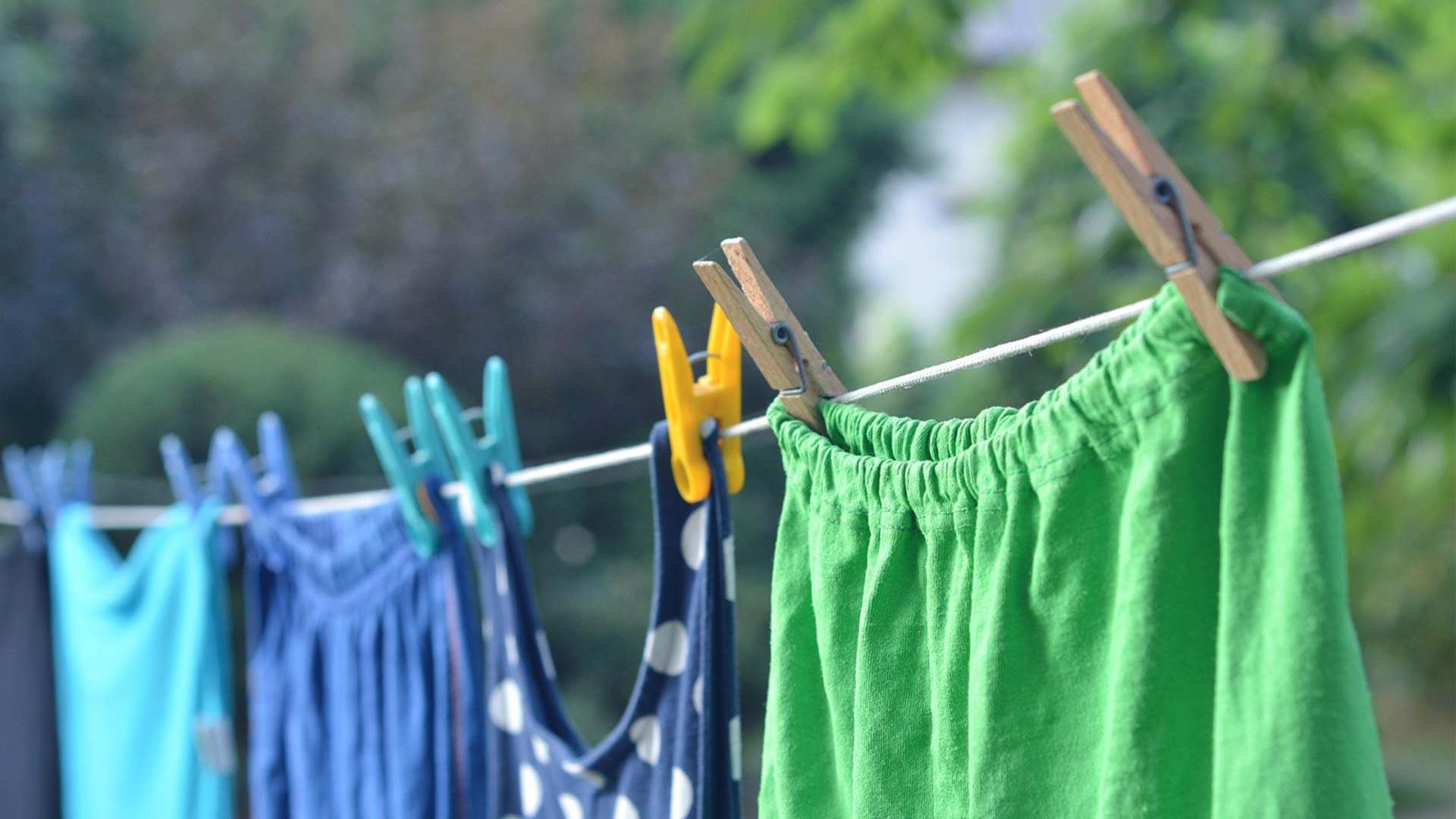 Cells and enzymes are used to make washing detergents Cells and enzymes are used to make washing detergents