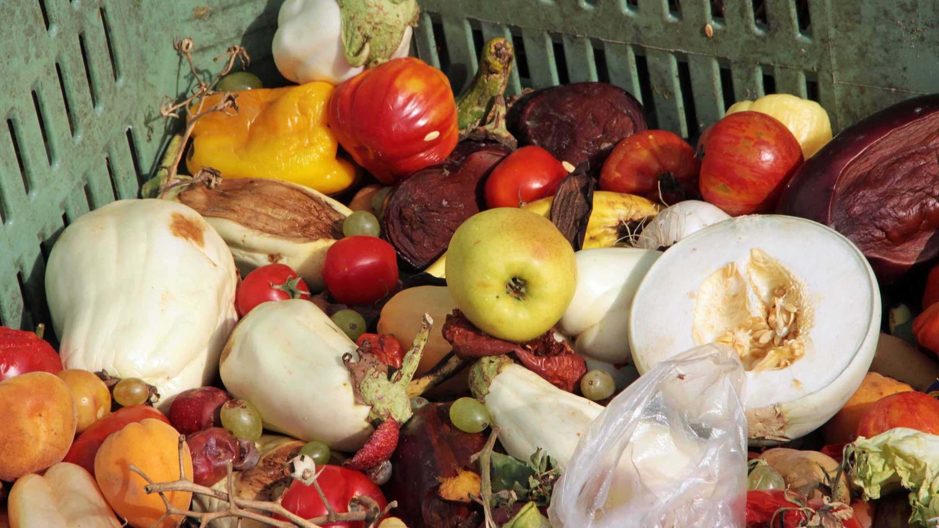 Food Waste Problem Food Waste Problem