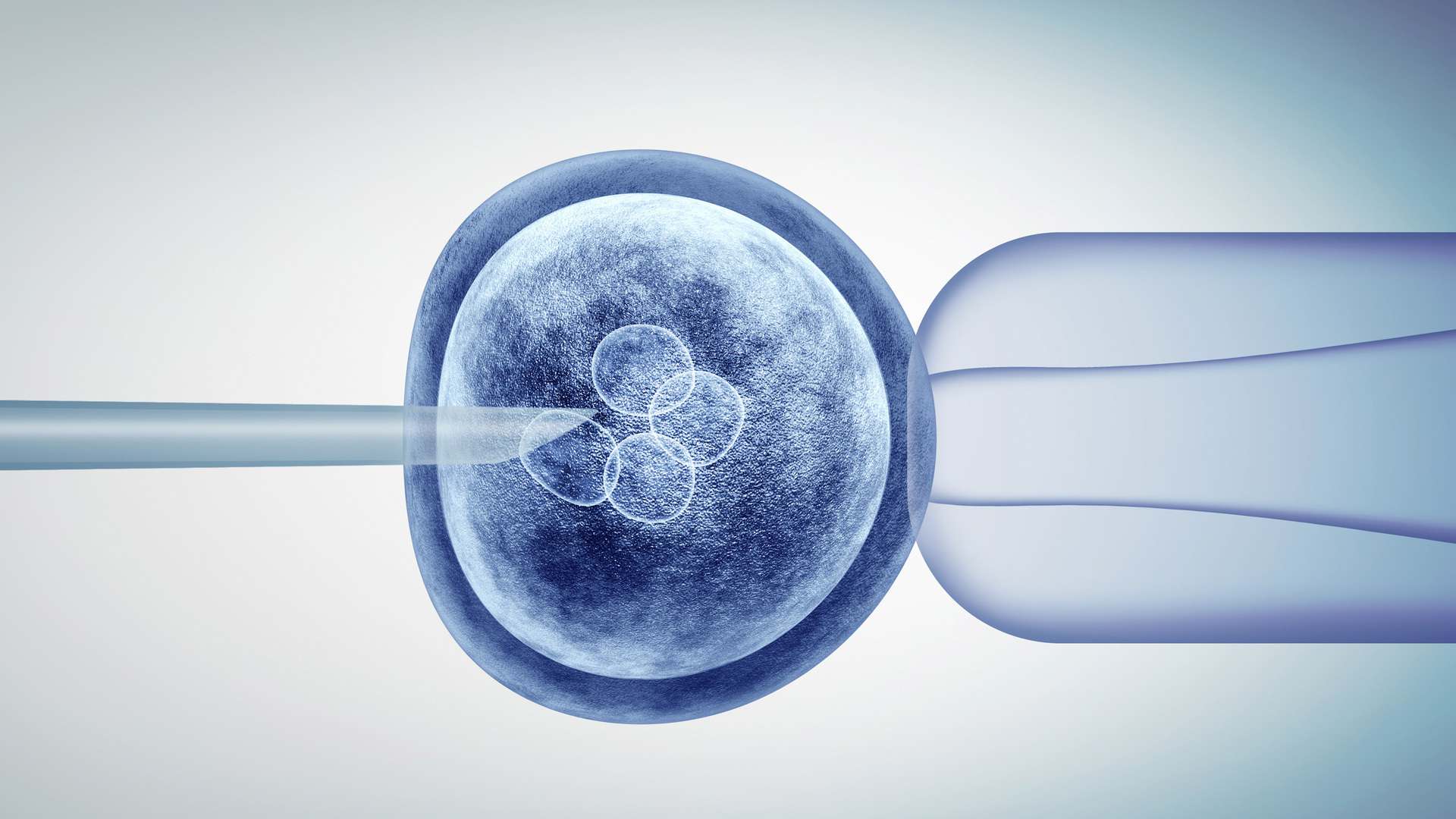 Gene Biology Gene Biology