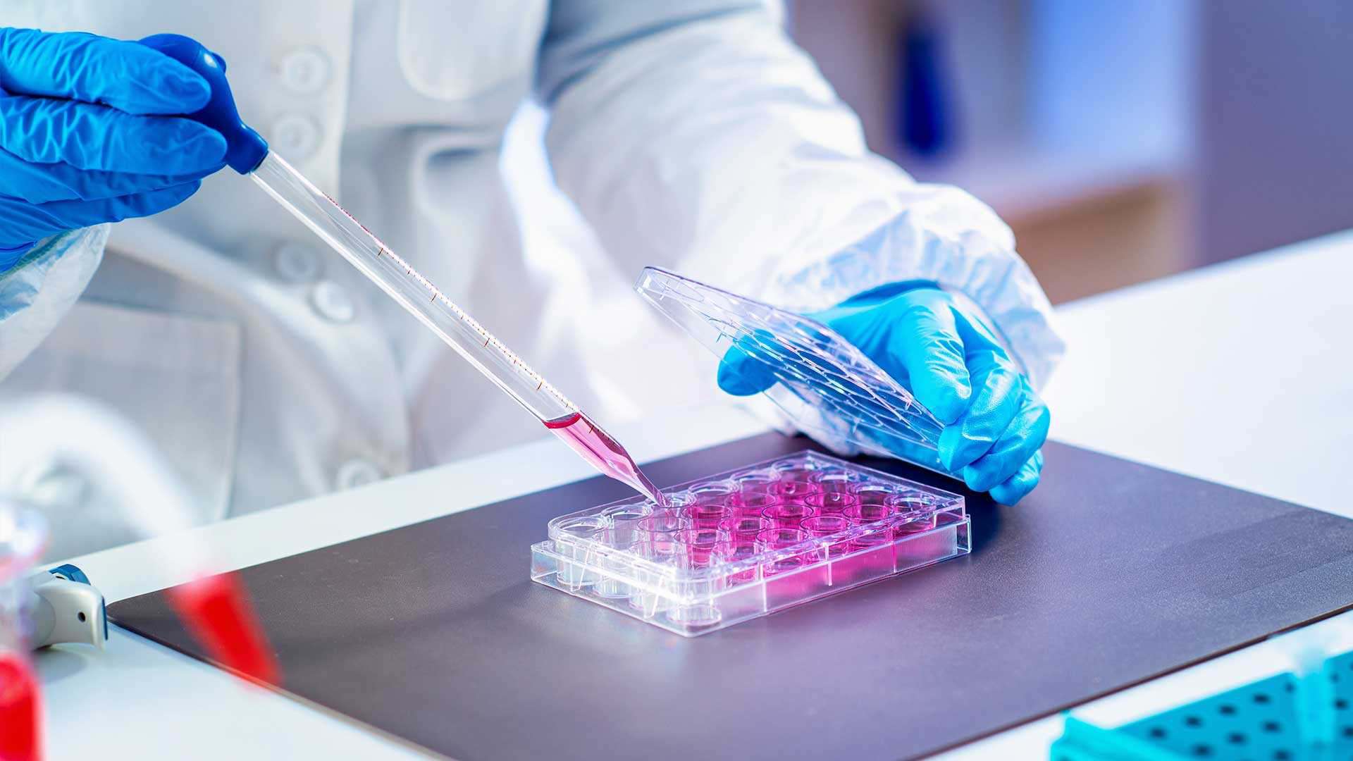 Photo of a scientist running experiment in a lab Photo of a scientist running experiment in a lab