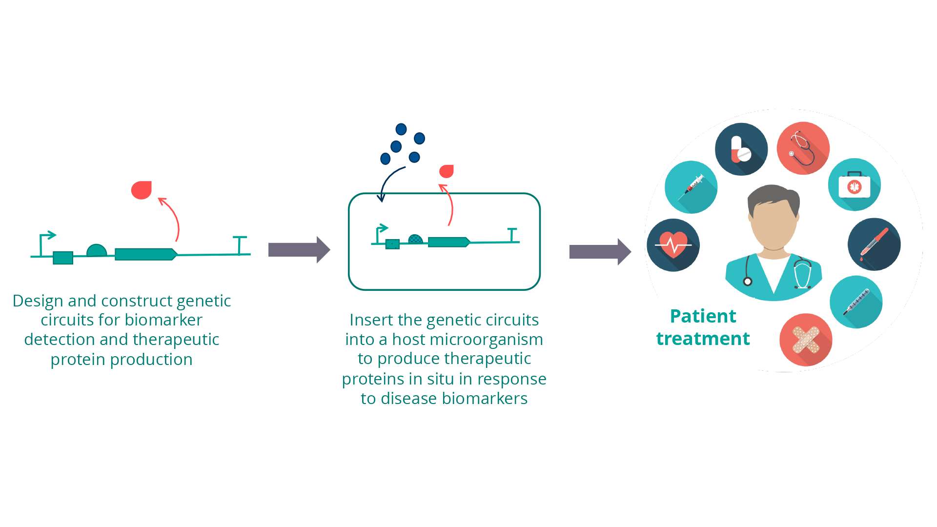 Diagram of microbiome Diagram of microbiome