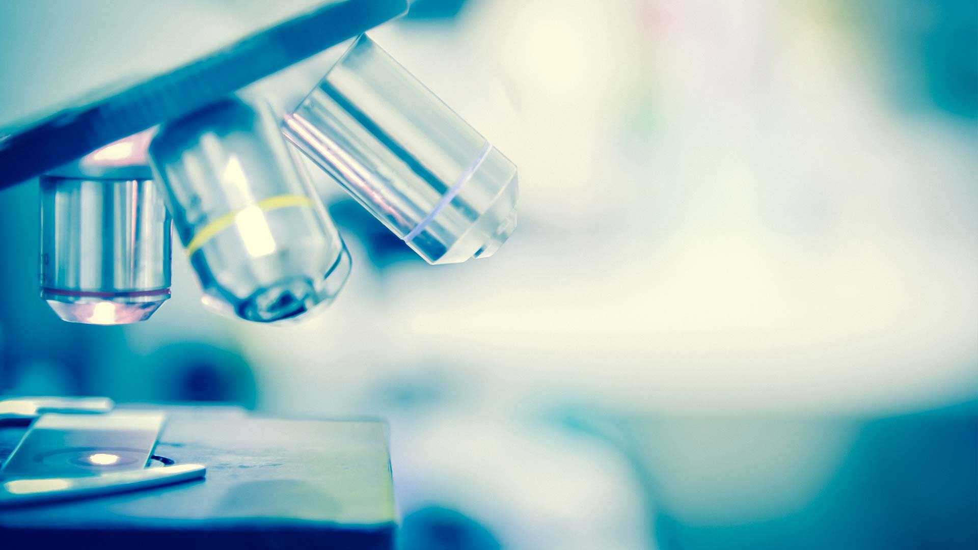 Microscope Microscope