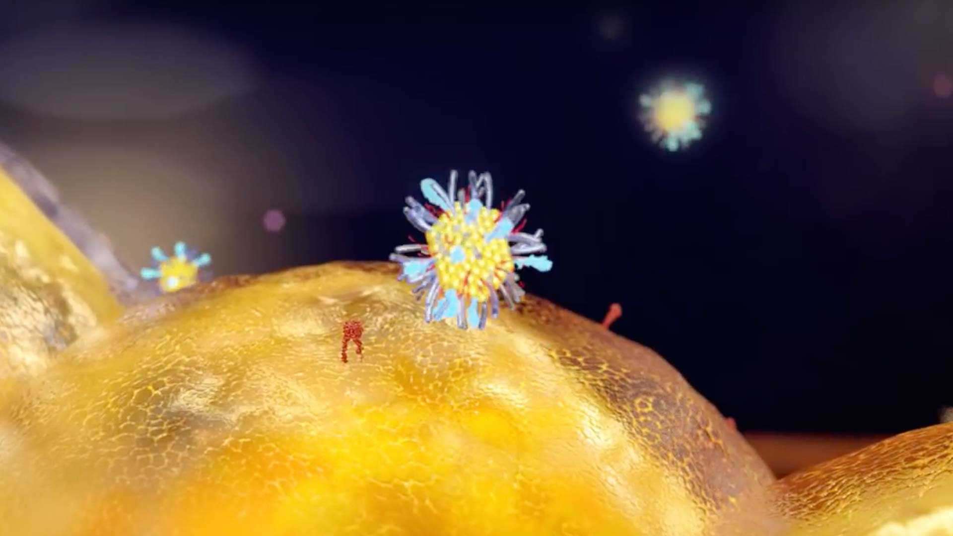 Nanopharmaceuticals represent an emerging field in the future of medicine Nanopharmaceuticals represent an emerging field in the future of medicine