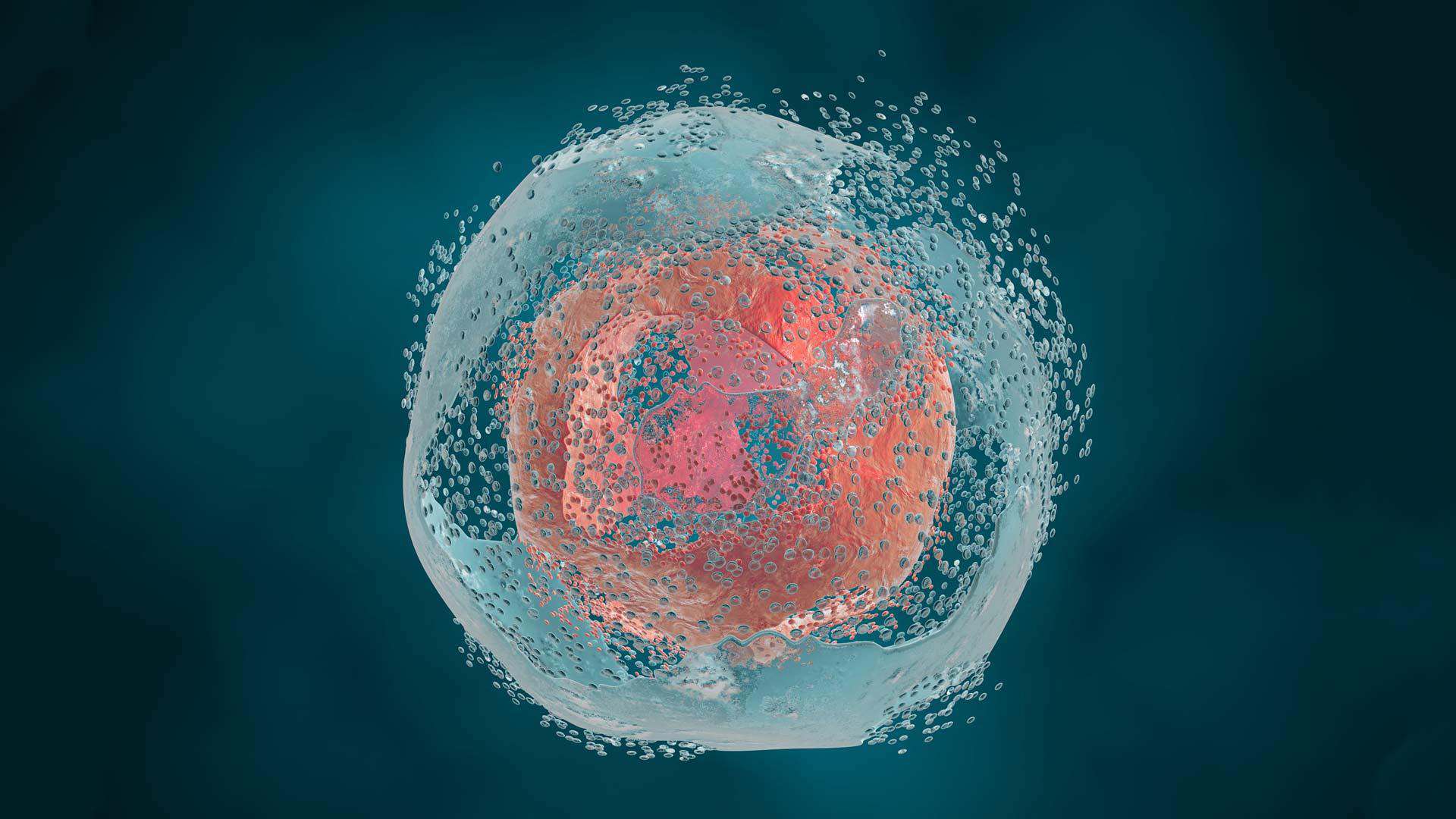 Nanoformulations enhance conventional drug properties and provide more effective medicines and vaccines. Nanoformulations enhance conventional drug properties and provide more effective medicines and vaccines.