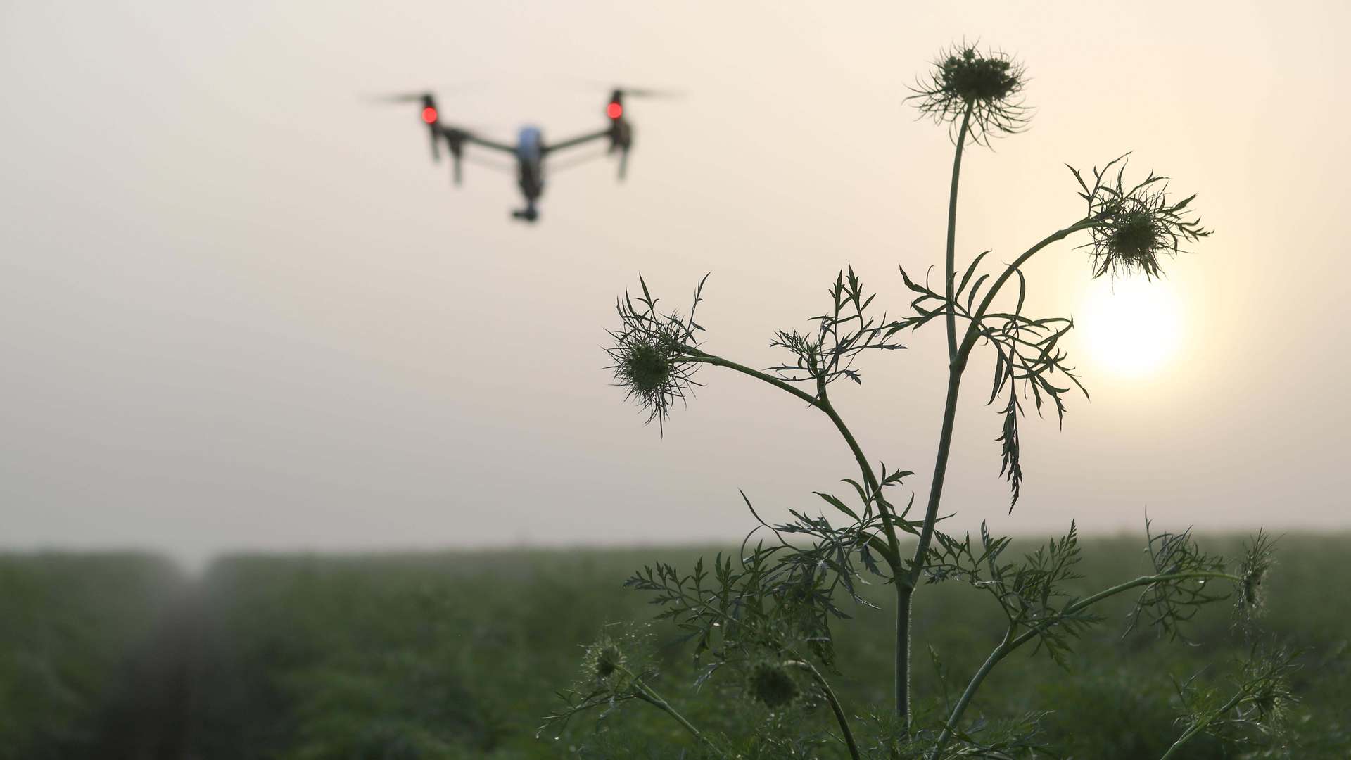 A photo of a drone used in monitoring crops A photo of a drone used in monitoring crops