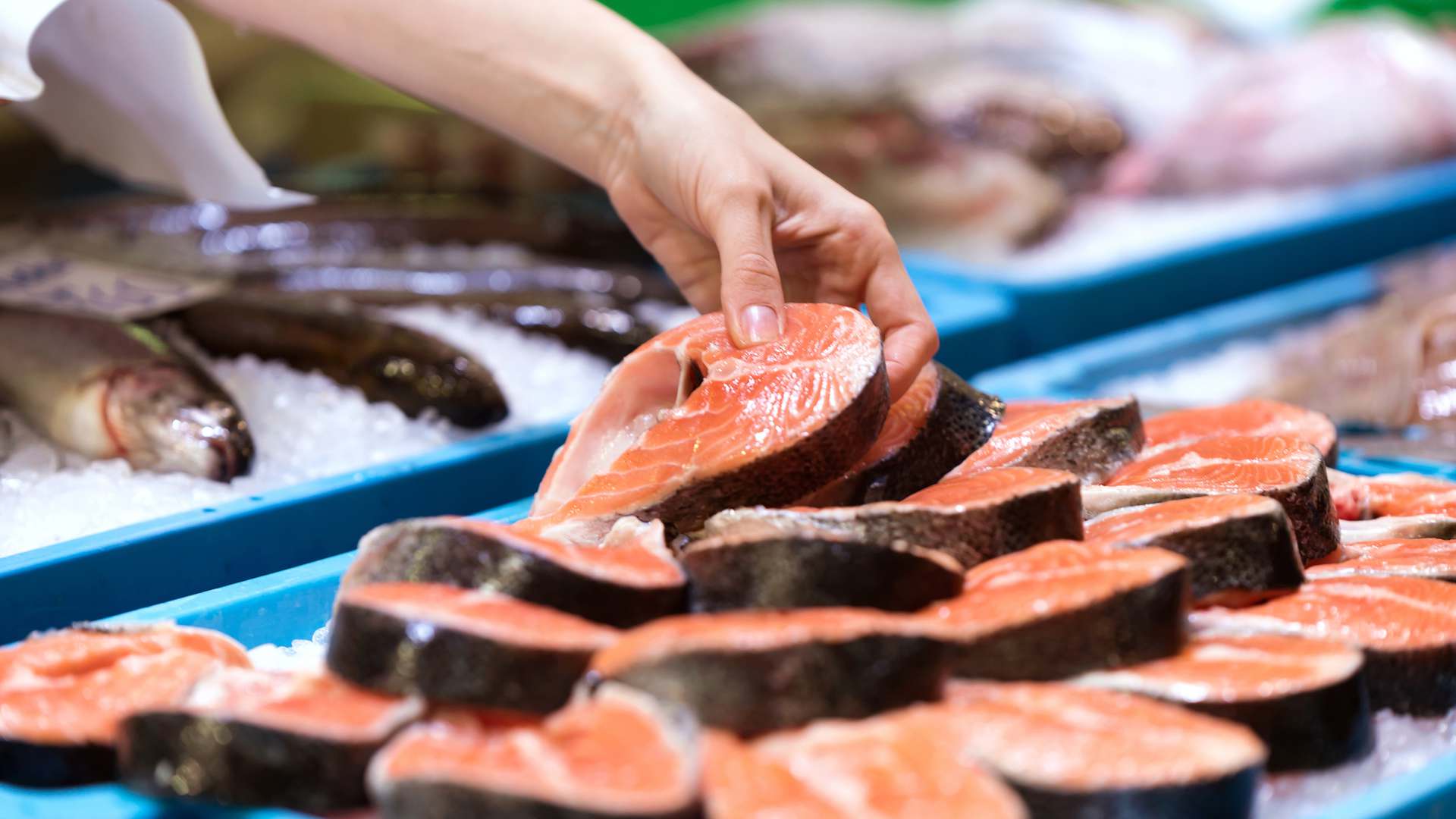 salmon-fish-market salmon-fish-market