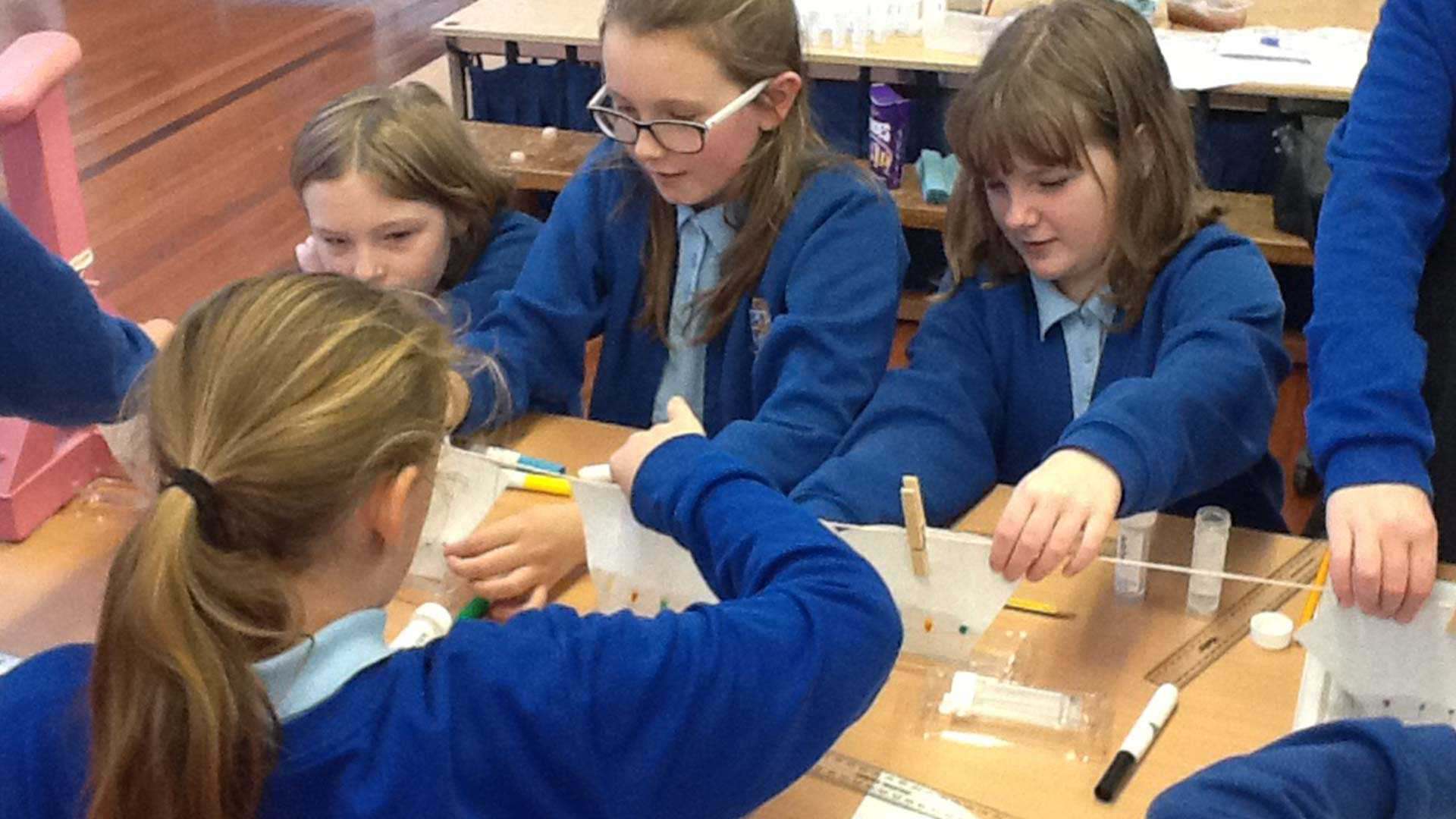 Pupils, from William Cassidi C of E Aided Primary School in Stillington Pupils, from William Cassidi C of E Aided Primary School in Stillington