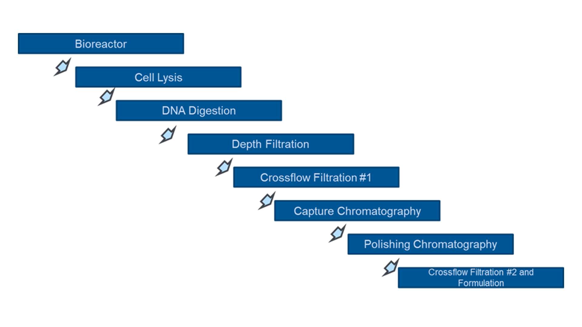 Figure 2. AVV production process. Figure 2. AVV production process.